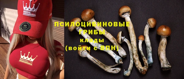 стафф Богородицк