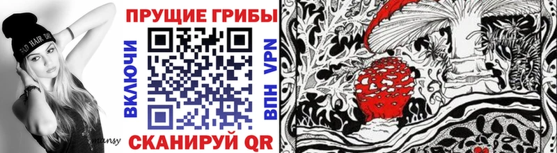 Псилоцибиновые грибы ЛСД  ссылка на мегу tor  Донской  хочу  